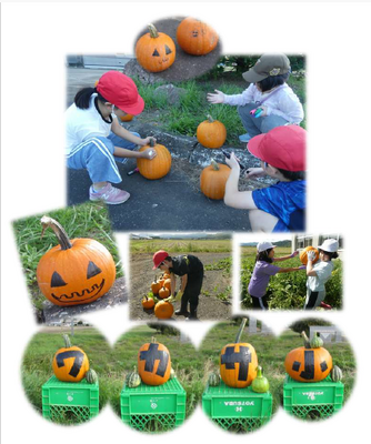 ９月かぼちゃ収穫＆ハロウィーン